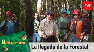 La llegada de la forestal | Oro verde - T1E1