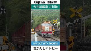 【きかんしゃトビー】大井川鐵道井川線【電車が大好きな子供向け】Japanese Trains for Kids - Toby the Tram Engine, DAY OUT WITH THOMAS