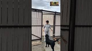 ВОЛШЕБНАЯ ТОЛСТОВКА ИЛЬИ  #семейныйканал #семья #рукосуевы