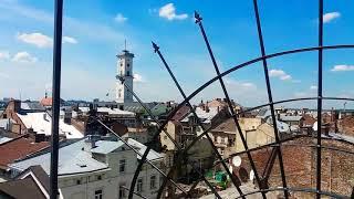 Львов лето 2018