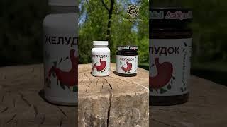ЖЕЛУДОК | АРИФ ХИДЖАМА БЕЛАЯ ДАЧА +79023340000 #котельники #москва