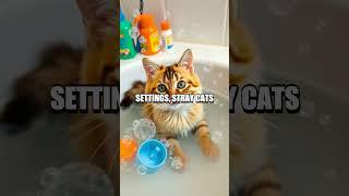 Unique Cat Grooming Techniques and Traditions: Secrets Revealed!