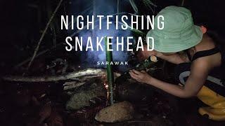 Night Fishing Snakehead in East Malaysia - Girl Wild Camping, Build Bushcraft Shelter