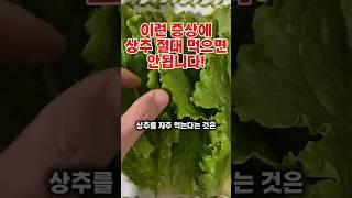 이런 증상에 상추 절대 먹으면 안됩니다#건강#건강정보#쇼츠#shorts#상추