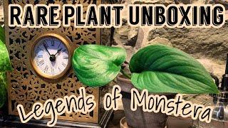 Rare Plant Unboxing | Legends of Monstera