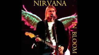 Nirvana - In Bloom