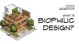 What Is Biophilic Design? -  Sustainable Architecture Animated Glossary #19