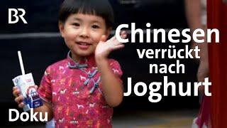 Joghurt hält jung? Chinesen pilgern in ein Dorf in Bulgarien | Doku | BR Story