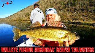 Beaver Lake Tailwaters Walleye Fishing