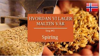 Hvordan vi lager malten vår || Steg 3: Spiring