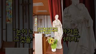 DJ Bene 신부님 복음 묵상글 #복음묵상 #가톨릭 #우지성당