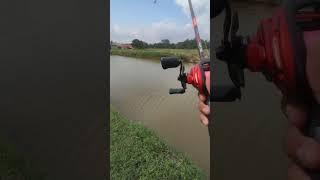 Abu Garcia Black Max Tour + Black Max SX combo casting. No Backlash #fishing #abugarcia #casting