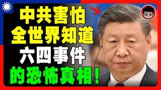 【揭發中共】所有中國人都被中共騙了！民主在中國不可能發生的原因！習近平 一国两制 个人成长 统一 兩岸 习近平 自我提升 反送中 中共 九二共识 財富自由 反共 法輪功 國安法 中華民國 六四 毛澤東