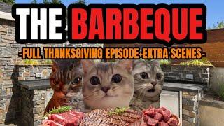 Cat MEMES: THE BARBEQUE + EXTRA SCENES