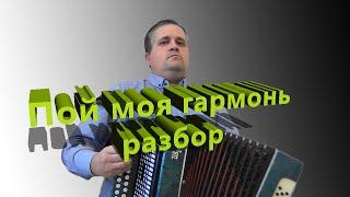 "Пой моя гармонь" песня Елены Гуляевой // разбор на гармони по цифрам