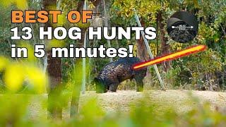 13 Wild Hog Hunts in 5 Minutes!!! - Bow Hunting Hogs