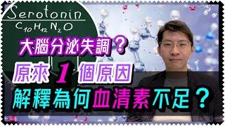 拆解：血清素為何會不足？（中文字幕）大腦為何會分泌失調？抑鬱焦慮症是大腦「正常」運作下的「異常」結果？