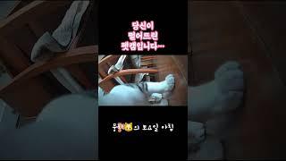 #개냥이 #길고양이 #고양이일상 #고양이브이로그  #뭉치와숭이 #뭉숭이네 #서강대메리홀고양이