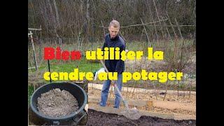 bien utiliser les cendres au potager