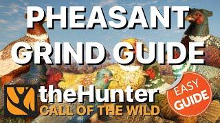 How to Grind for the Great One Pheasant | Hunter: Call of the Wild