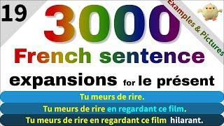 the best way to learn French, French sentence expansion exercises, French Conjugation