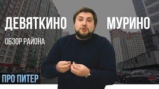 ДЕВЯТКИНО | ЗАПАДНОЕ МУРИНО | ОБЗОР РАЙОНА