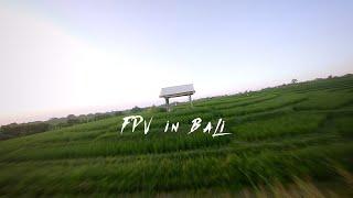 FPV Cruizing from Bali Ricefield