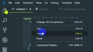 How to make a Visual Studio Code theme recognize C# interfaces