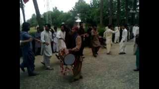 balochistan agriculture college attan... kamran wazir