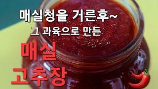 [매실과육활용법] 매실청을 거르고 매실 과육으로 만든 매실고추장담그기/매실장아찌/매실잼만들기