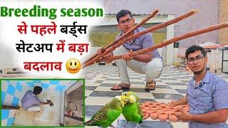 Birds Breeding Se Pehle Safai Karne Ke Fayde/ मेरे बर्ड्स सेटअप का रंग - रूप बदल दिया budgie colony