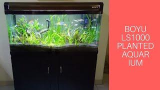 Boyu 3.3 Feet Imported Aquarium | Planted Aquarium | Easy Aquatic Plants