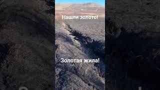 Золотая жила! Самородки под ногами!
