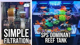 What's in my Sump? - SPS REEF TANK