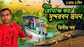 Sundarban Tour | 2 Nights 3 Days Sundarban Tour Package | Sundarban Tour Plan 2024 | #sundarban