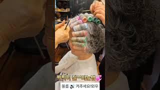 보브컷 스타일링 찍찍이 달인#사모님머리#파마#컷트#사모님파마 #드라이#보브컷#보브단발 #스타일링#뷰티#여자머리#여자머리추천#헤어스타일#헤어#hair#haircut#shorts