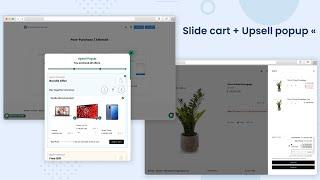 Cart Drawer Shopify | Slide Cart Shopify | by Automatic Discount app Shopify