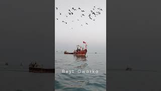 DWARKA vlog Cinematic shots      #dwarka #chotila #cinematic Dwarka Mandir Dwarka Tourist Attraction