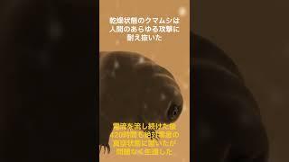 【ゆっくり解説】人間が手を尽くしても敵わない最強生物クマムシについてこっそり教えます