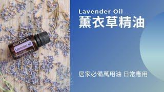 薰衣草精油日常用法 Lavender oil for beginners