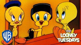 Looney Tuesdays | Top 10 Cutest Moments from Tweety Bird  | Looney Tunes | @WB Kids