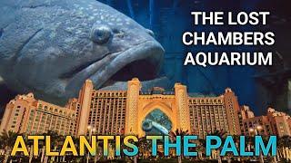 The Lost Chambers Aquarium Full Tour | Atlantis The Palm, Dubai - Tickets & Timing