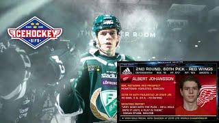 Albert Johansson - Season Highlights - 2020/2021