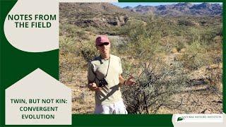TWINS BUT NOT KIN!: CONVERGENT EVOLUTION