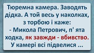  Микола Петрович! Українські Анекдоти та Анекдоти Українською! Епізод #340