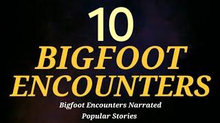 10 BIGFOOT ENCOUNTERS  - BIGFOOT ENCOUNTERS NARRATED POPULAR STORIES