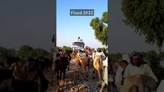 #flood in Pakistan #indusriver