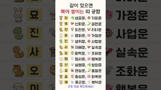 복이 몰려오는 띠 궁합‍️‍‍