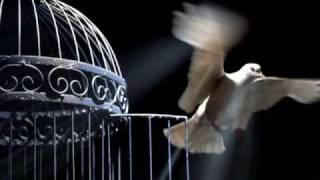 Alyosha - to be free