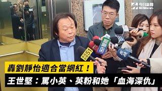 轟劉靜怡適合當網紅！王世堅：罵小英、英粉和她「血海深仇」｜NOWnews